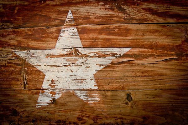 Texas Picture Archive 아티스트의 Texas White Star작품입니다.