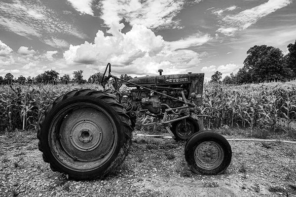 Highsmith, Carol 아티스트의 Vintage Tractor beside a Cornfield in Habersham County-Georgia작품입니다.