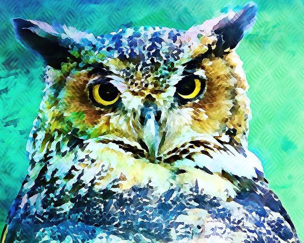 Alpenglow Workshop 아티스트의 Great Horned Owl작품입니다.