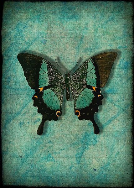 Alpenglow Workshop 아티스트의 Vintage Butterfly작품입니다.