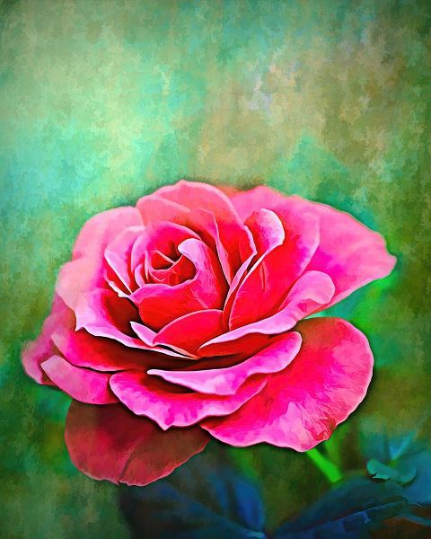 Alpenglow Workshop 아티스트의 Exquisite Pink Rose작품입니다.