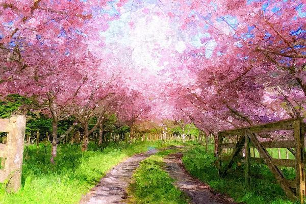 Alpenglow Workshop 아티스트의 Cherry Blossom Lane작품입니다.