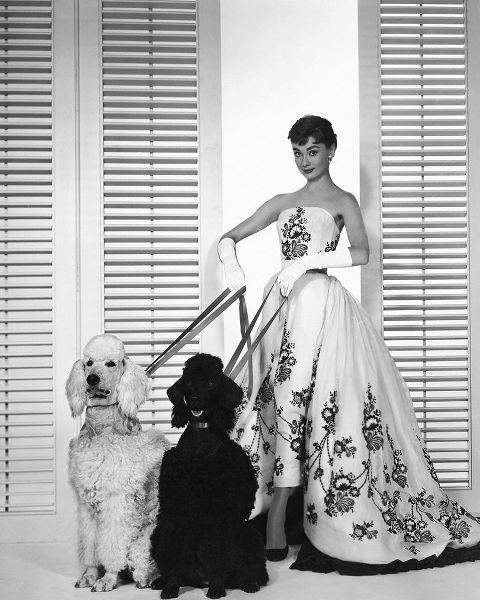 Vintage Hollywood Archive 아티스트의 Audrey Hepburn, Sabrina, 1954작품입니다.