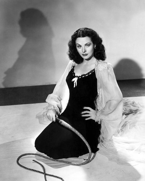 Vintage Hollywood Archive 아티스트의 Hedy Lamarr, The Strange Woman, 1946작품입니다.