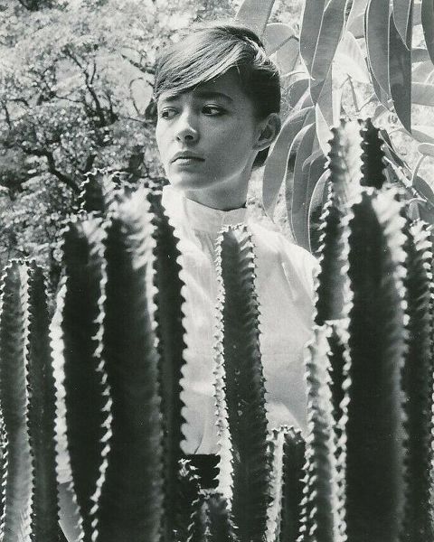 Vintage Hollywood Archive 아티스트의 Pina Pellicer, One-Eyed Jacks, 1961작품입니다.