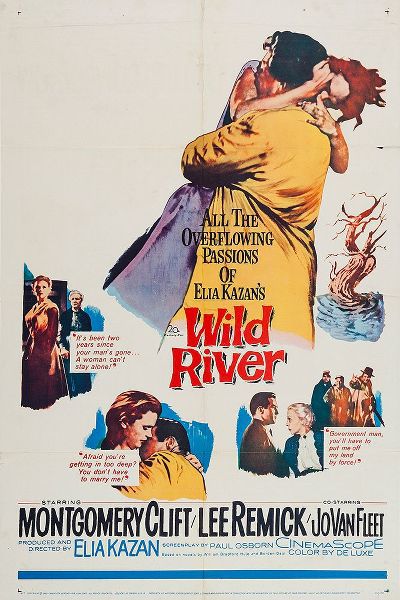 Vintage Hollywood Archive 아티스트의 Wild River-1960작품입니다.