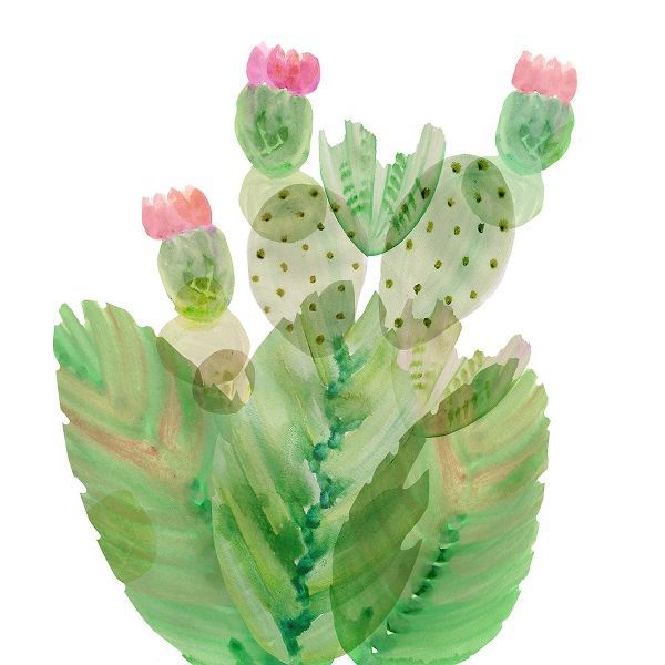 Flowering Cactus I