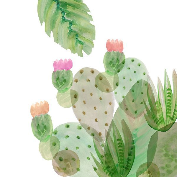 Flowering Cactus IV