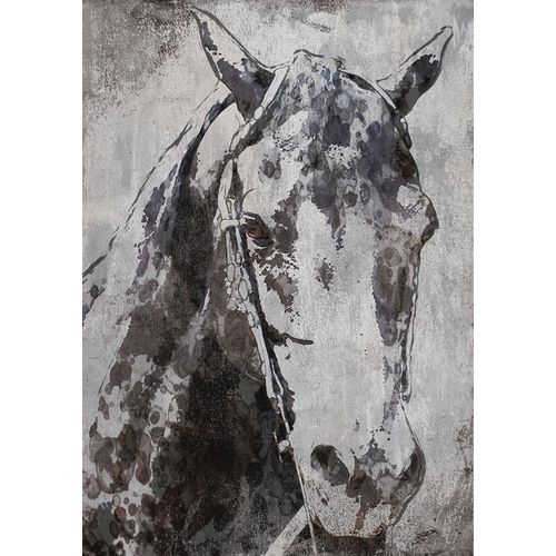 Morgan Horse- Black Beauty