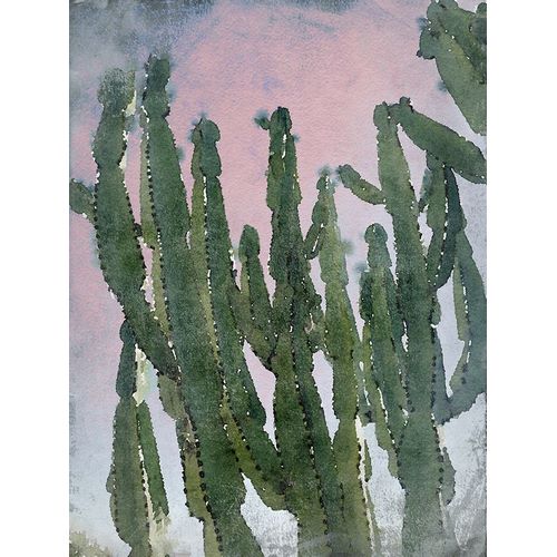 Desert Cactus I