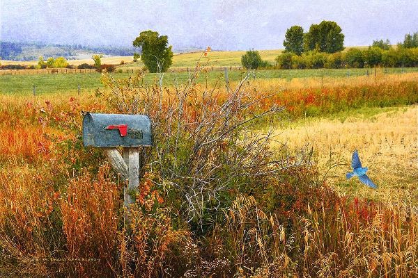 Ranch Mailbox