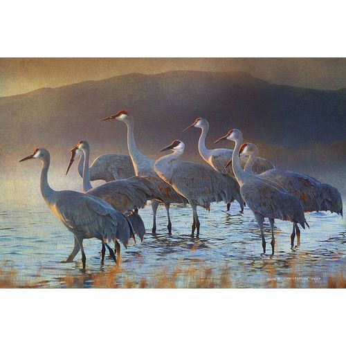 Bosque Dawn Cranes