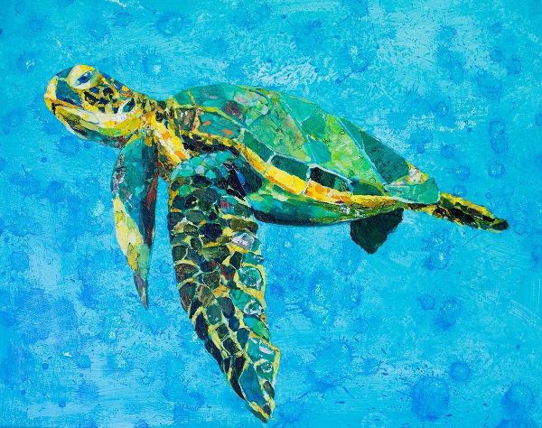 Floating Sea Turtle