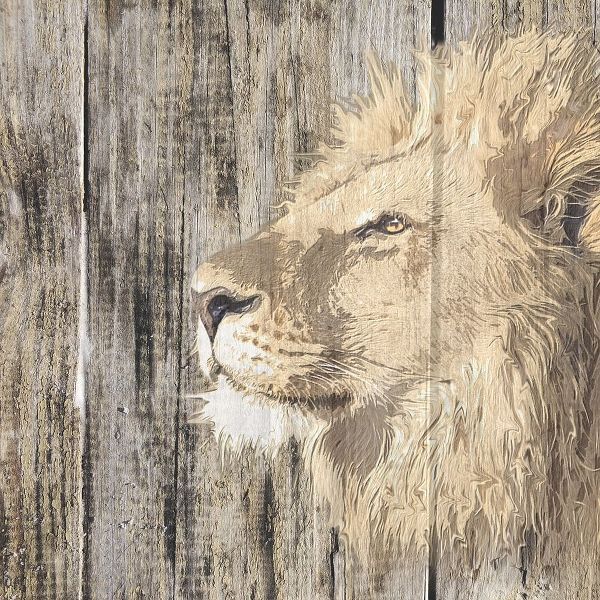 Wildheads Lion