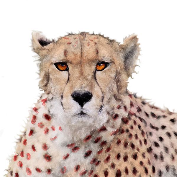 Cheetah Paint