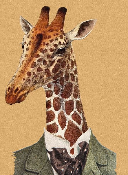 Posh Giraffe