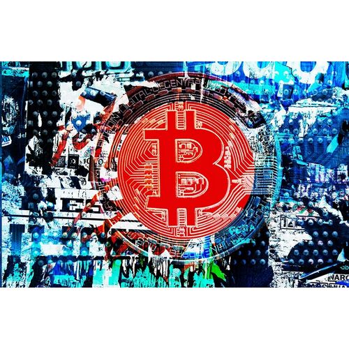 Crypto Currency Bitcoin Graffiti IV