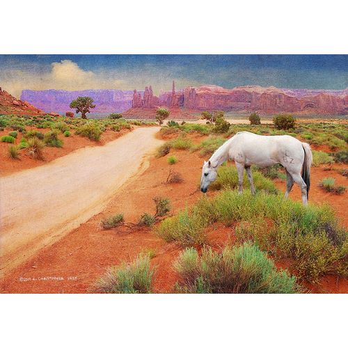 Vest, Christopher 작가의 White Horse Road in Monument Valley 작품