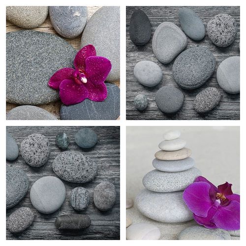 Haase, Andrea 작가의 Zen Orchid Collage 작품