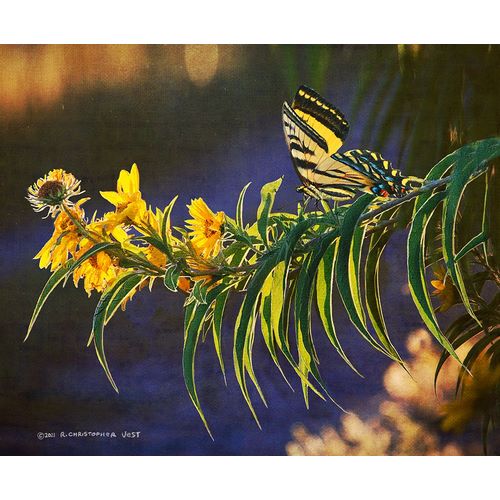 Vest, Christopher 아티스트의 Yellow Flowers Butterfly작품입니다.
