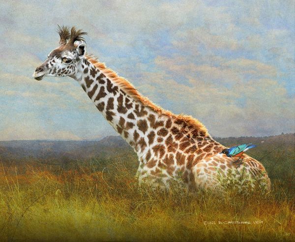 Vest, Christopher 아티스트의 Giraffe and Starling작품입니다.