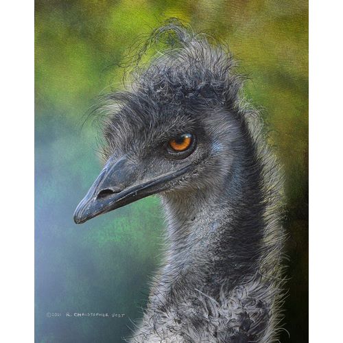 Vest, Christopher 아티스트의 Emu Portrait, Dr. Suess Bird작품입니다.