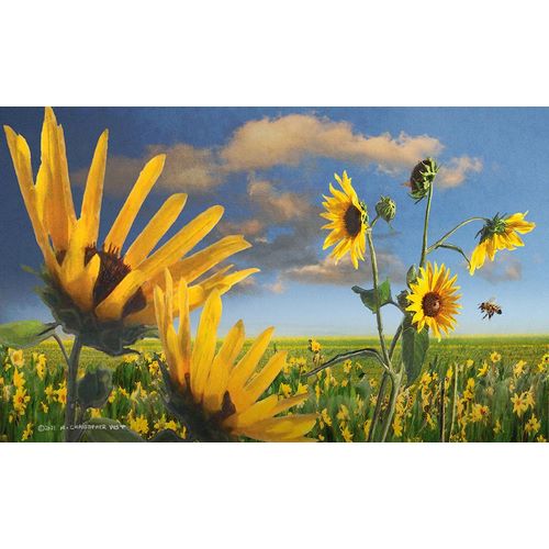 Vest, Christopher 아티스트의 Sunflowers in Kansas작품입니다.
