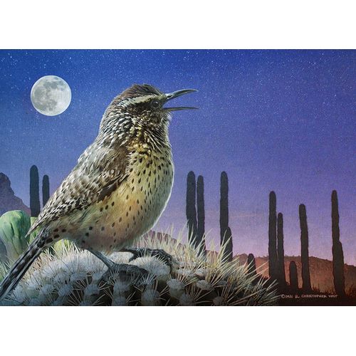 Vest, Christopher 아티스트의 Saguaro Cactus Wren by Moonlight작품입니다.