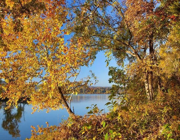 Lake Sequoyah Autumn-Arkansas
