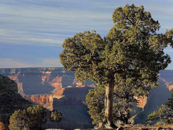 Hermits Rest-South Rim of Grand Canyon National Park-Arizona