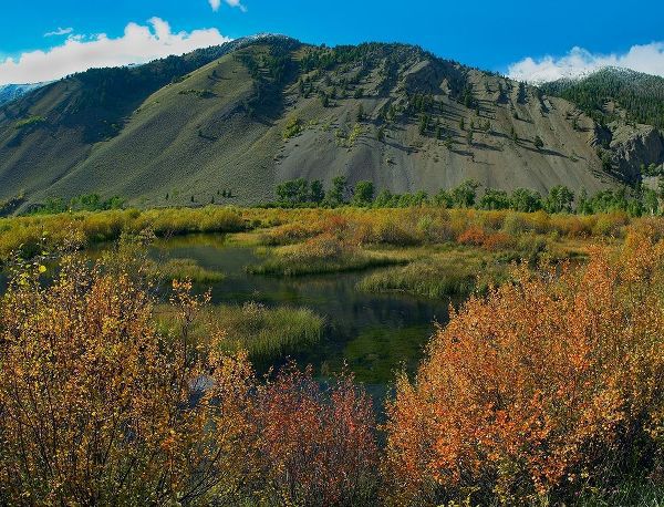 Boulder Mountains and Trail Creek beaver pond in autumn-Idaho