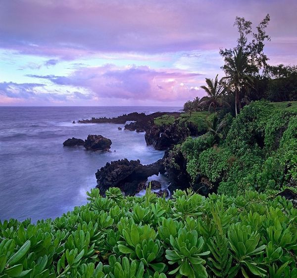 Hana Coast Maui