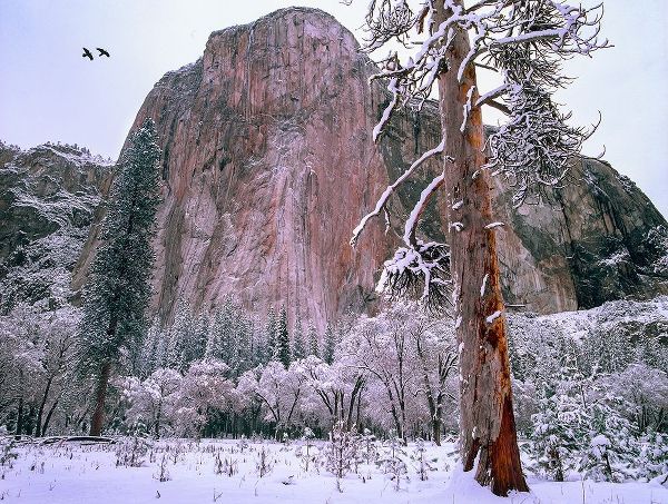 El Capitan in winter-Yosemite National Park-California