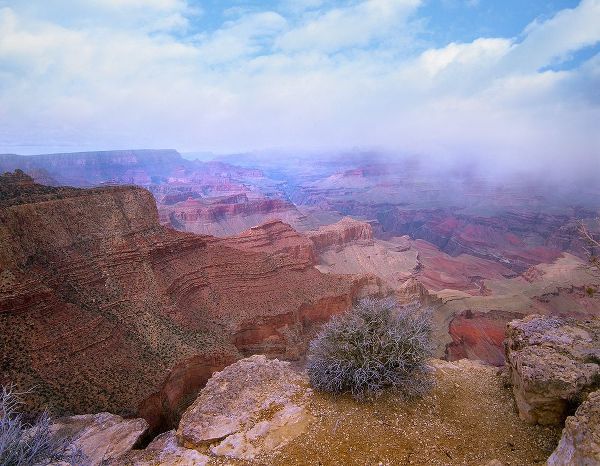 Moran Point-South Rim-Grand Canyon National Park-Arizona