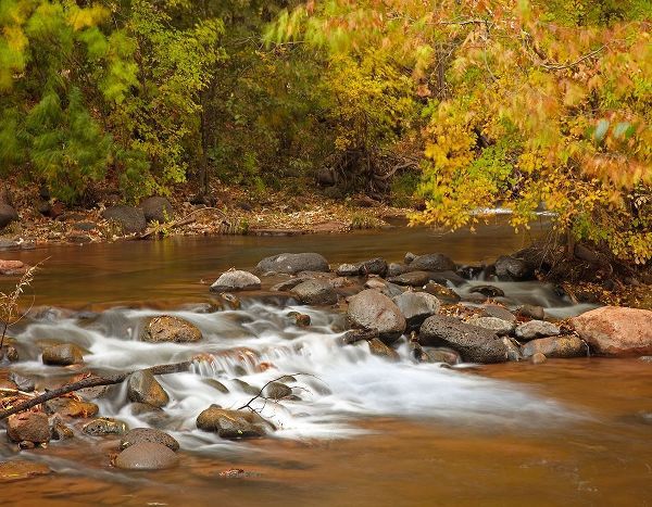 Oak Creek in autumn near Sedona-Arizona