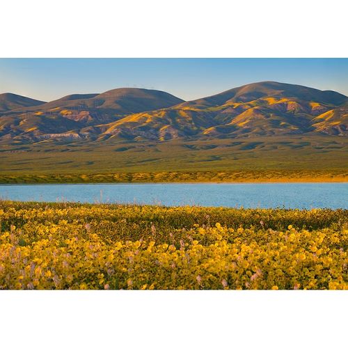 Temblor Range at Soda Lake -Carrizo Plain National Monument-California