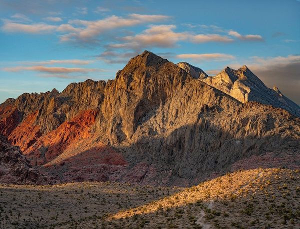 Red Rock Canyon National Conservation Area-Nevada-USA