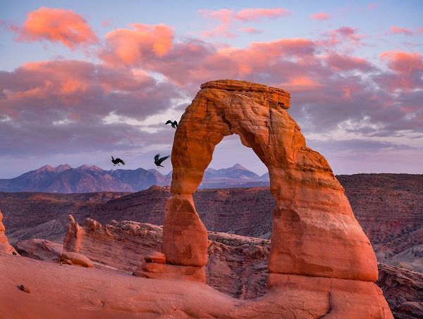 Delicate Arch-Arches National Park-Utah-USA