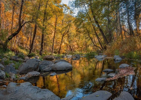 Oak Creek near Sedona-Arizona-USA