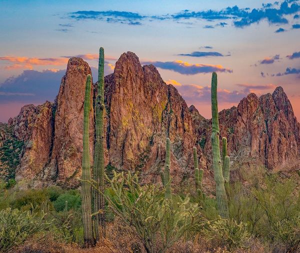 Usury Mountains from Tortilla Flat-Arizona-USA