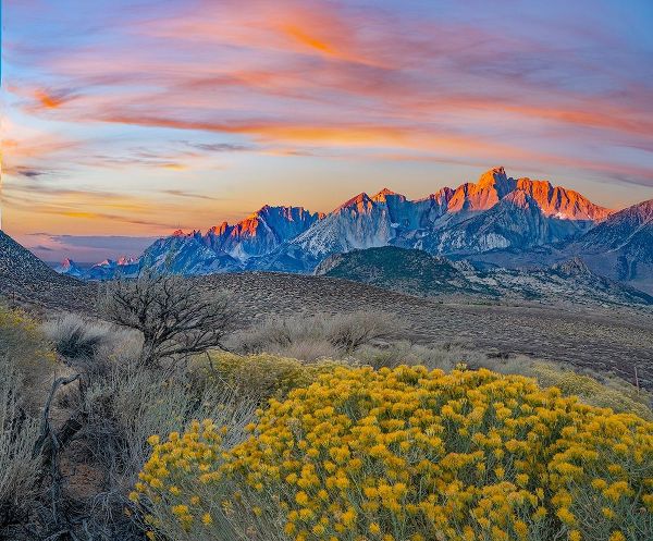 Sierra Nevada from Owens Valley-California-USA