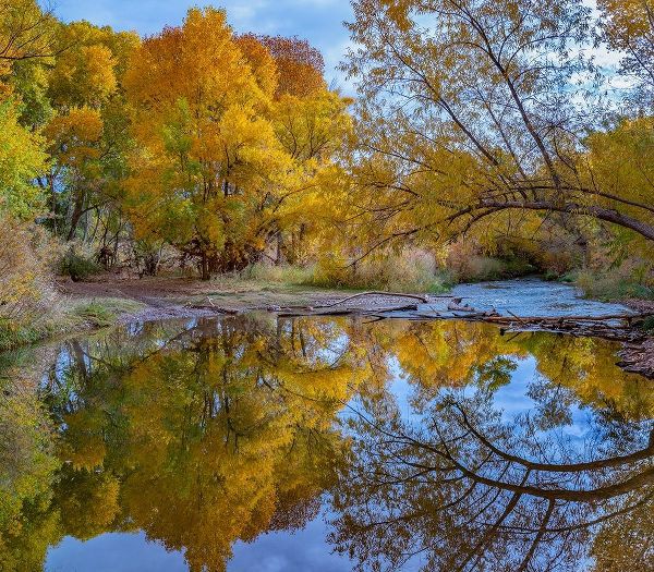 Verde River near Camp Verde-Arizona-USA