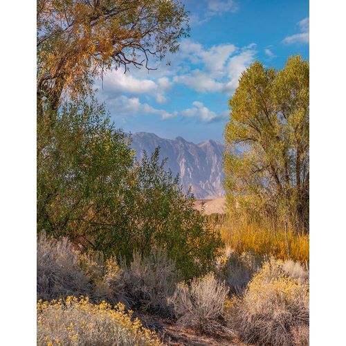 Sierra Nevada-Owens Valley-California-USA