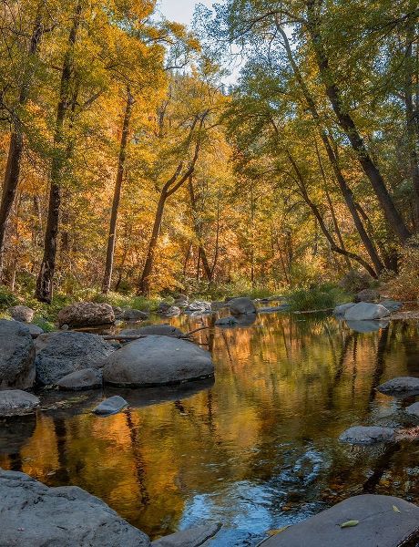 Oak Creek near Sedona-Arizona-USA