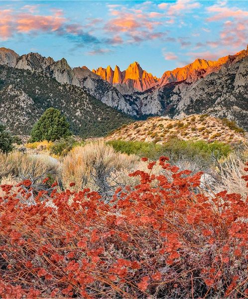 Mount Whitney-Sequoia National Park Inyo-National Forest-California