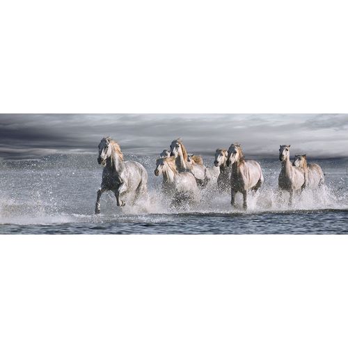 Horses Running at the Beach