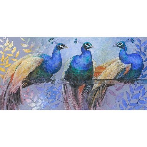 Three Peacocks