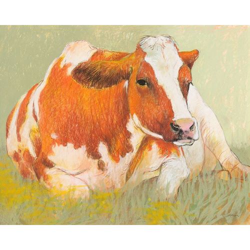 Cow in the Spring