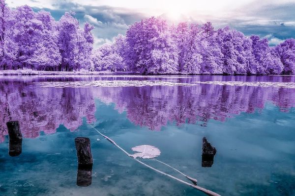 Majolan s Park Reflections I-Bordeaux - Infrared and UV photography