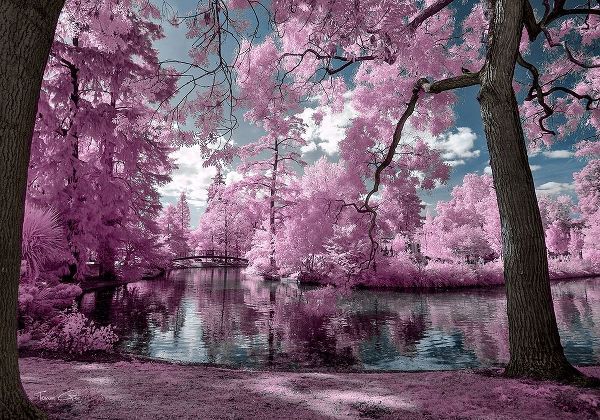 Bordeaux s Park - Infrared Photography
